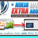 Ninja-Widget-Extra-Add-on-Nulled