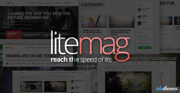 LiteMag v1.5.0 - Easy to use Minimalist Magazine Theme