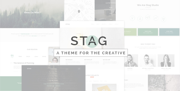 Stag - Portfolio Theme for Freelancers and Agencies v1.3