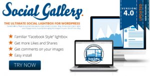Social Gallery - WordPress Photo Viewer Plugin v4.6