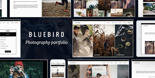 Bluebird v1.5.6 - Design for Professional Photographers
