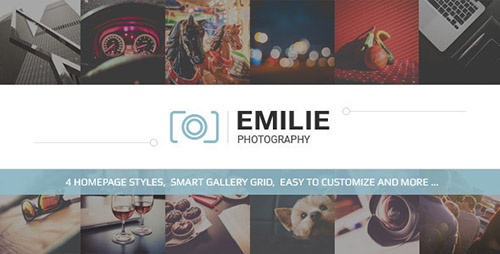 Emilie v1.2 - Photography Portfolio WordPress Theme