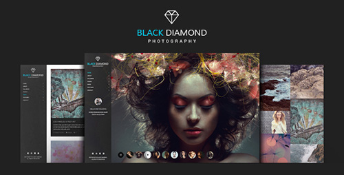DIAMOND v1.9.4 - Template WordPress Fotografi 