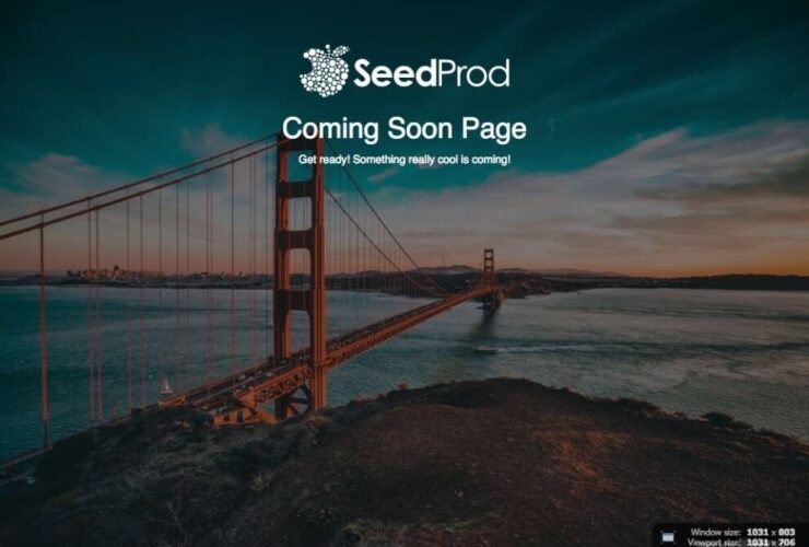 SeedProd-Coming-Soon-Pro-Nulled-991x679 (1).jpg