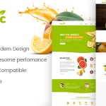 AmyOrganic v1.0.2 - Organic and Healthy Theme for WordPress