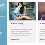 DV Gallery v1.6.1 - Responsive WordPress Gallery Plugin