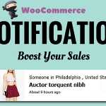 WooCommerce Notification v1.1.3 - Boost Your Sales