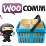 100+ WooCommerce Plugins Free Download [Latest Updated]