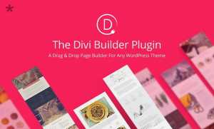 Divi Builder v2.2 - Drag & Drop Page Builder Plugin For WordPress