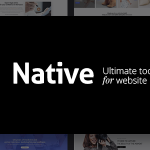 Native v1.2.4 - Powerful Startup Development Tool