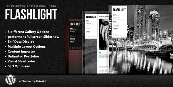 Flashlight 4.3 - Portofolio latar belakang layar penuh Themeforest 