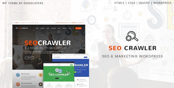 SEO Crawler v1.0.1 - Digital Marketing Agency, Social Media, SEO WordPress Theme