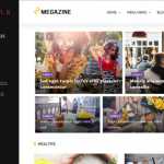 Megazine v1.0 - Multi Blog WordPress Responsive Theme
