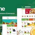 Origine v1.0 - Organic Theme for WooCommerce WordPress