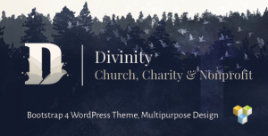 Divinity v1.3.2 - Church, Nonprofit, Charity Events Theme