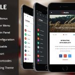 Be Mobile Theme v1.5 - Mobile WordPress Theme