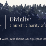 Divinity v1.3.3 - Church, Nonprofit, Charity Events Theme