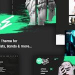 Phase Nulled A Complete Music WordPress Theme for Record Labels and Artists Free Download