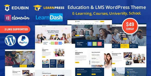 Edubin v6.5.9 - Education LMS WordPress Theme