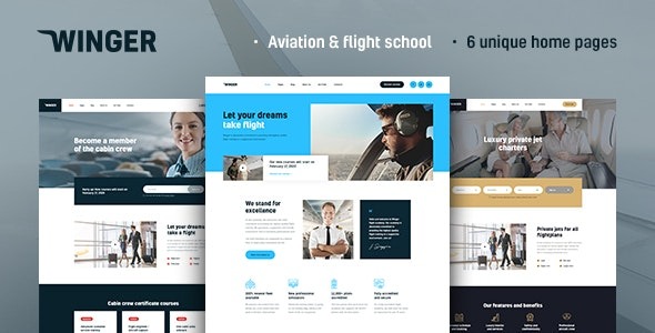 Winger Nulled Aviation & Flight School WordPress Theme Free Download
