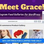 Instagram Feed Gallery v1.2.1 - Grace for WordPress