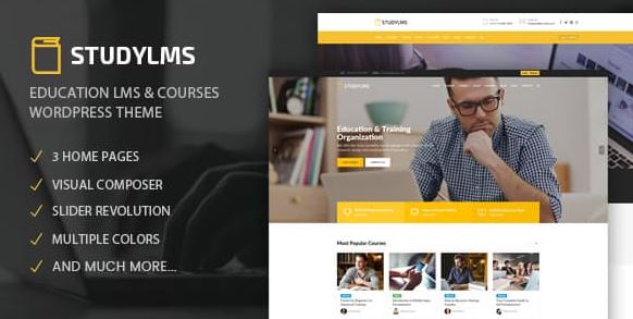 Studylms v1.19 - Education LMS & Courses WordPress Theme