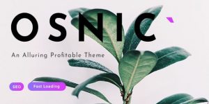 Osnic - Adsense WordPress Theme
