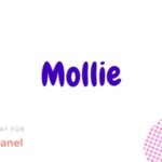 Mollie Payment Module for Smartpanel Nulled Free Download