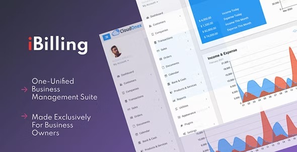 iBilling - CRM, Accounting and Billing Software